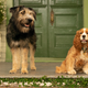 Image for article titled The new Lady And The Tramp feels like a ’90s update of a ’50s classic